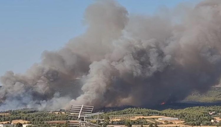 Μεγάλη-πυρκαγιά-στον-Ωρωπό:-Μήνυμα-του-112-για-εκκένωση-οικισμού
