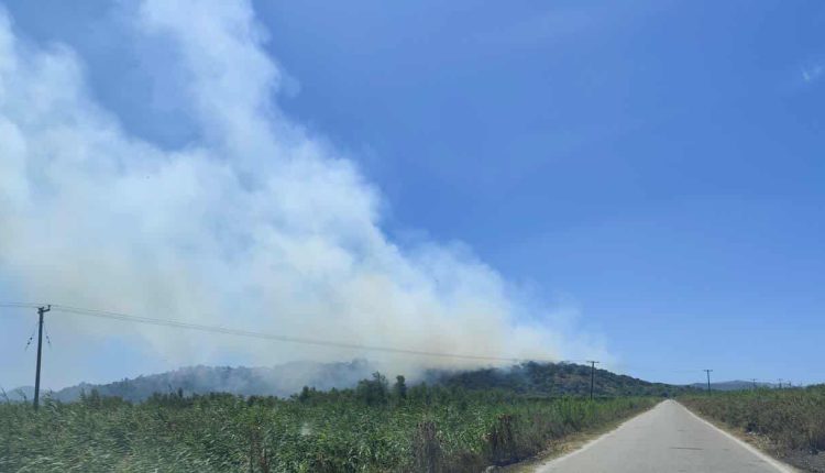Φωτιά-τώρα:-Καίγεται-δασική-έκταση-στην-Αιτωλοακαρνανία