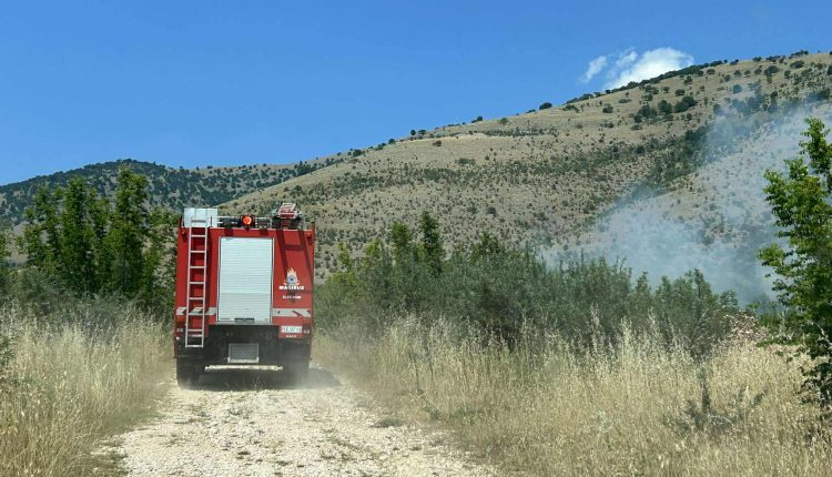 Υπό-έλεγχο-η-φωτιά-στην-περιοχή-Οινιάδες-Αιτωλοακαρνανίας