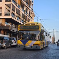 Τέλος-εποχής-για-τα-τρόλεϊ-Οδεύουν-προς-απόσυρση