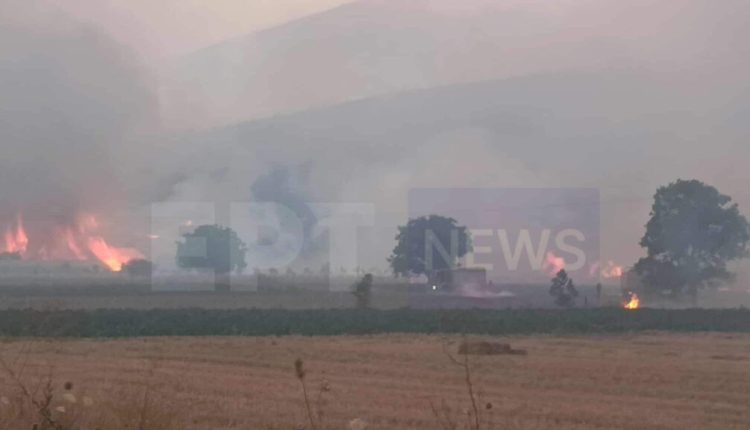 Σε-ύφεση-η-πυρκαγιά-στον-Φενεό-Κορινθίας:-Ζημιές-και-εκκενώσεις-χωριών-–-Συνελήφθησαν-δύο-άτομα