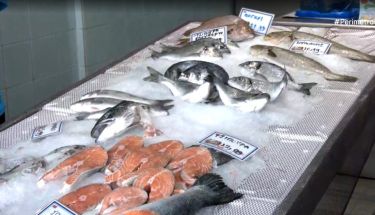 Πάτρα:-Εξαφανίστηκε-η-σαρδέλα-από-τον-Πατραϊκό-Κόλπο