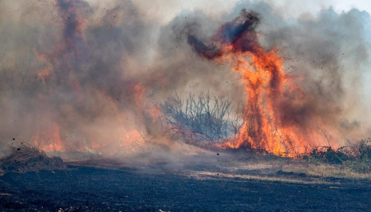 Φωτιά-στη-Μέλισσα-Ηλείας:-Βελτιωμένη-η-εικόνα-του-πύρινου-μετώπου-σε-δύσβατη-αγροτουριστική-έκταση
