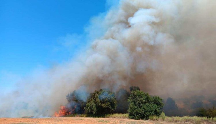 Φωτιά-τώρα-σε-χαμηλή-βλάστηση-στα-Λεχαινά-Ηλείας-–-Καλύτερη-η-εικόνα-της-πυρκαγιάς,-ήχησε-το-112