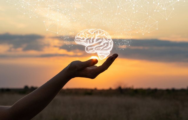 Πώς-ο-καύσωνας-επηρεάζει-τον-ανθρώπινο-εγκέφαλο-–-Επιδεινώνει-τις-επιληπτικές-κρίσεις-και-άλλες-παθήσεις