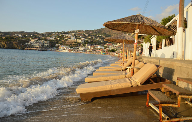 Τι-ισχύει-για-την-παρουσία-σκύλων-στις-παραλίες-–-Οι-κανόνες-και-η-νομοθεσία