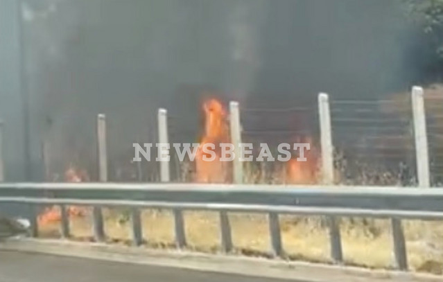 Φωτιά-σε-χαμηλή-βλάστηση-δίπλα-στην-Εθνική-οδό-στα-Οινόφυτα