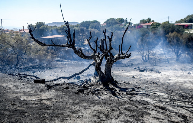 Ειδικό-ποσοστό-εισαγωγής-στην-τριτοβάθμια-εκπαίδευση-για-μαθητές-και-αποφοίτους-ΓΕΛ,-ΕΠΑΛ,-πυρόπληκτων-και-σεισμόπληκτων-περιοχών