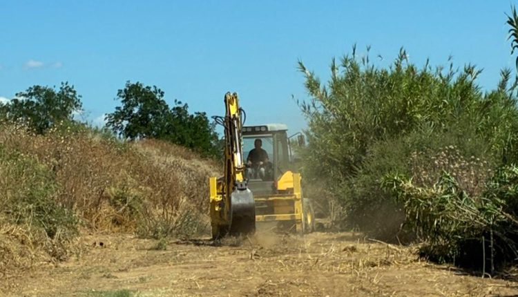 Καθαρισμός-ποταμού-Ξηριά-και-Πάνιτσας-στην-ΠΕ-Αργολίδας-από-την-Περιφέρεια-Πελοποννήσου-–-Περιφέρεια-Πελοποννήσου
