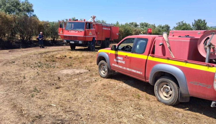 Πυρκαγιά-τώρα-στην-Παλαιομάνινα-Αιτωλοακαρνανίας-–-Επιχειρούν-και-εναέρια-μέσα