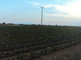 Αχαΐα:-Σχηματίστηκε-δικογραφία-κατά-τριών-ατόμων-για-εμπορία-ανθρώπων