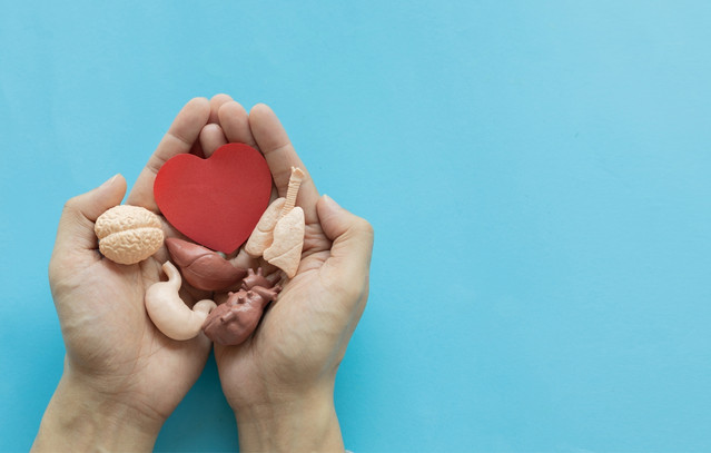 Πώς-να-γίνετε-δωρητές-οργάνων-με-ένα-κλικ