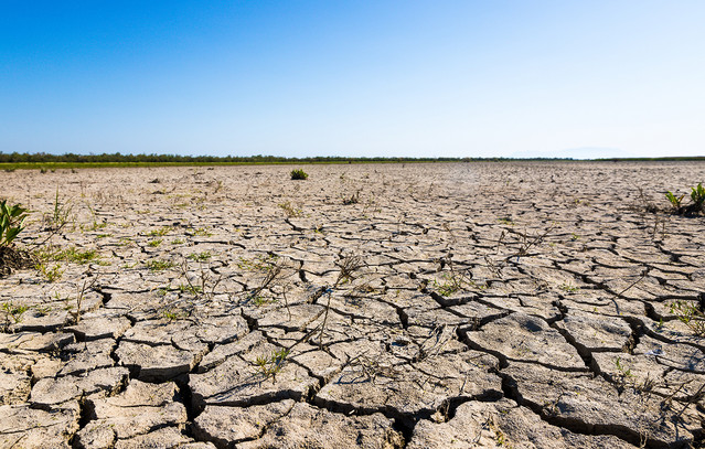 Σε-συνθήκες-ακραίας-ξηρασίας-η-χώρα-–-Έντονο-πρόβλημα-σε-Κρήτη,-Πελοπόννησο,-Μακεδονία,-Στερεά-Ελλάδα-και-Λέσβο