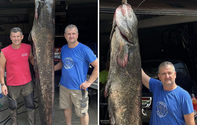 Η-ψαριά-της-δεκαετίας:-Έπιασαν-γουλιανό-2,7-μέτρων-και-βάρους-100-κιλών-στη-λίμνη-Πολυφύτου-Κοζάνης