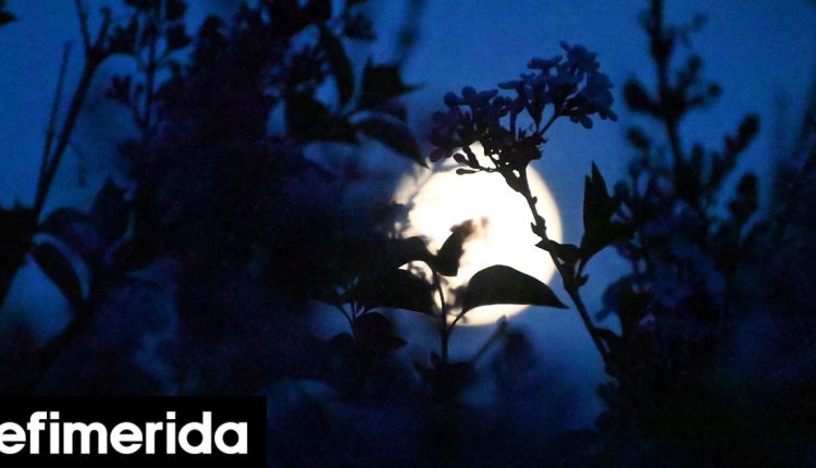 Αυγουστιάτικη-πανσέληνος-με-μουσικές-εκδηλώσεις-σε-επιλεγμένους-αρχαιολογικούς-χώρους-στην-Χαλκιδική