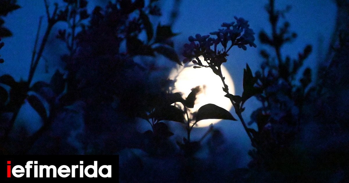 Αυγουστιάτικη-πανσέληνος-με-μουσικές-εκδηλώσεις-σε-επιλεγμένους-αρχαιολογικούς-χώρους-στην-Χαλκιδική