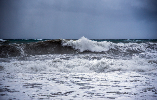 Αυτή-είναι-η-διαφορά-μεταξύ-των-«μποφόρ»-και-των-«ριπών-ανέμου»-–-Ο-Θοδωρής-Κολυδάς-εξηγεί