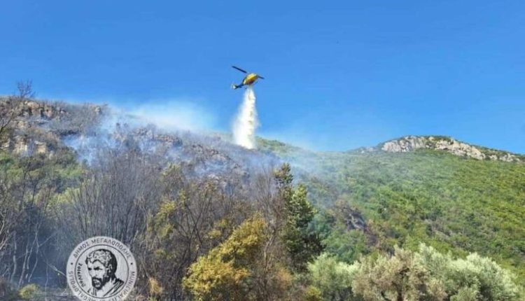 Πυρκαγιά-στην-περιοχή-της-Ιεράς-Μονής-Μπούρα,-κοντά-στο-Λεοντάρι-Μεγαλόπολης
