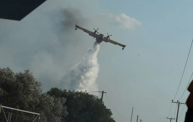 Φωτιά-στον-Κουβαρά-Αττικής-–-Επιχειρούν-και-εναέρια-μέσα
