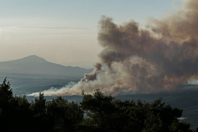 Μεγάλη-δασική-πυρκαγιά-στη-Βρυσούλα-Πρέβεζας-–-Μήνυμα-από-το-112