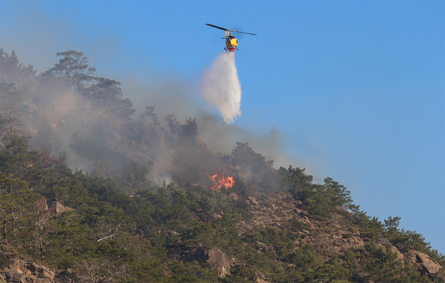 Φωτιά-τώρα-στη-Ροδόπη-–-Μήνυμα-του-112