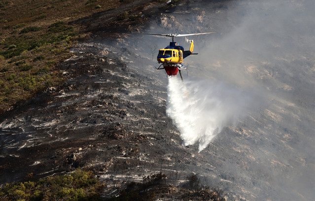 Αγροτικές,-δασικές-και-καλλιεργήσιμες-εκτάσεις-στις-φλόγες-–-7.950-στρέμματα-η-ζημιά-από-την-φωτιά-στην-Ηλεία