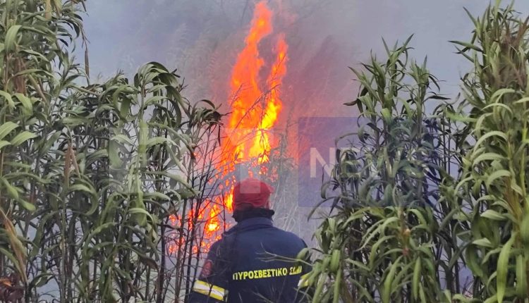 Πυρκαγιά-τώρα-στη-Φραξιά-Βόνιτσας