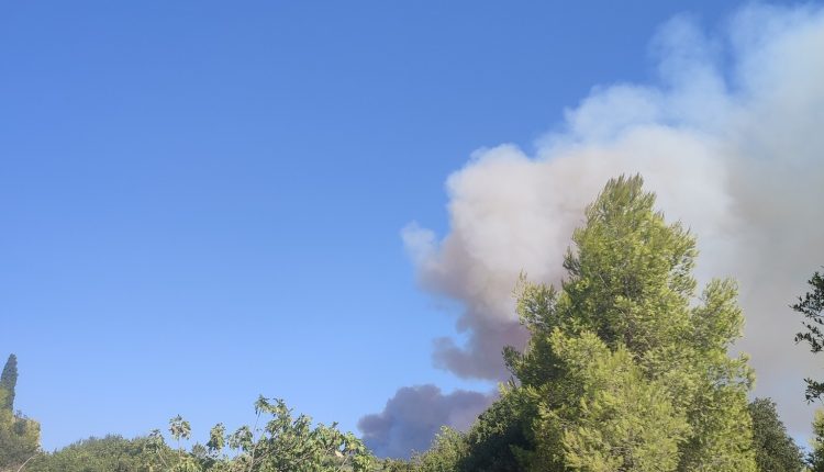 Φωτιά-τώρα-στην-περιοχή-Τρελάγκαθα-Αιτωλοακαρνανίας-–-Μήνυμα-112-για-ετοιμότητα