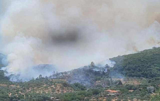 Φωτιά-στον-Αμμότοπο-Άρτας