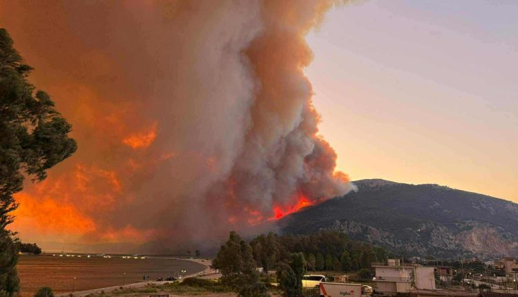 Φωτιά-τώρα-στα-Παλιάμπελα-Βόνιτσας-–-Μήνυμα-του-112-στους-κατοίκους-–-Νέα-εστία-στον-δρόμο-προς-Λευκάδα