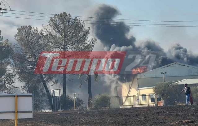 Στις-φλόγες-τυλίχθηκε-εργοστάσιο-στην-Αχαΐα