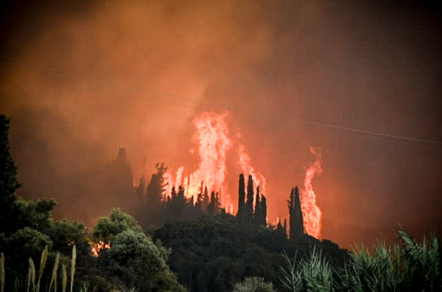 Νύχτα-κόλαση-στην-Κάτω-Αχαΐα:-Νέα-πυρκαγιά-στα-Συχαινά-–-Απομακρύνονται-οι-πολίτες