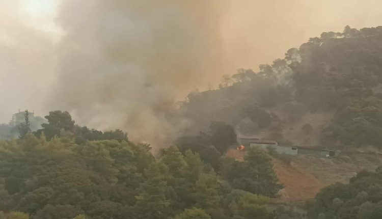 Πυρκαγιά-τώρα-στην-Αχαΐα:-Συνεχίζεται-η-μάχη-στα-πύρινα-μέτωπα-–-“Ο-ήλιος-δε-φαίνεται,-πυκνός-καπνός-έχει-σκεπάσει-τα-πάντα”