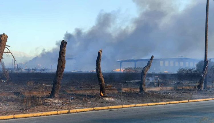 ΕΤΒΑ:-Ένα-εγκαταλελειμμένο-κτίριο-και-μια-αποθήκη-οι-απώλειες-από-την-πυρκαγιά-στη-βιομηχανική-ζώνη-της-Πάτρας
