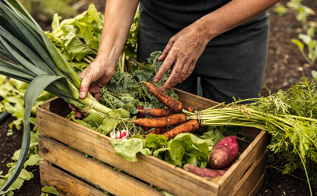 Υπουργείο-Ανάπτυξης:-Εξάμηνη-αναστολή-διαπίστευσης-σε-φορέα-πιστοποίησης-βιολογικών-προϊόντων