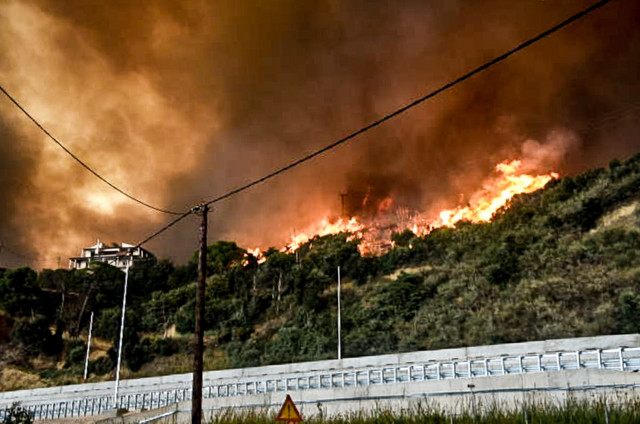 Φωτιά-στην-Αχαΐα:-Καταστράφηκαν-ολοσχερώς-550-οχήματα-στο-τελωνείο-της-Πάτρας