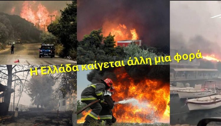 Δήλωση-Προέδρου-της-ΝΙΚΗΣ-Δημητρίου-Νατσιού-για-τις-καταστροφικές-πυρκαγιές