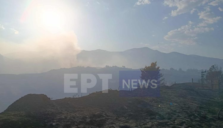 Φωτιά-τώρα:-Συνεχίζεται-η-μάχη-με-διάσπαρτες-εστίες-στην-Αχαΐα-–-Στο-Ρωμανό-το-ενεργό-μέτωπο