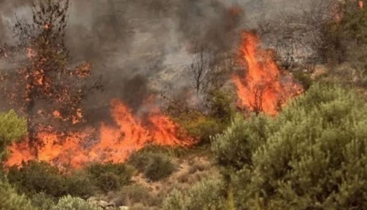 Δέηση-για-την-κατάπαυση-των-πυρκαγιών-–-Έρευνες-για-εμπρησμούς-ξεκινούν-οι-Αρχές