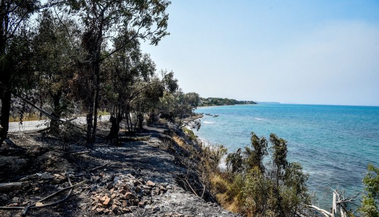 Φωτιά-τώρα:-Το-χρονικό-της-πυρκαγιάς-στην-Πάτρα-–-Οι-φλόγες-έφτασαν-μέχρι-τη-θάλασσα-στα-Βραχναίικα