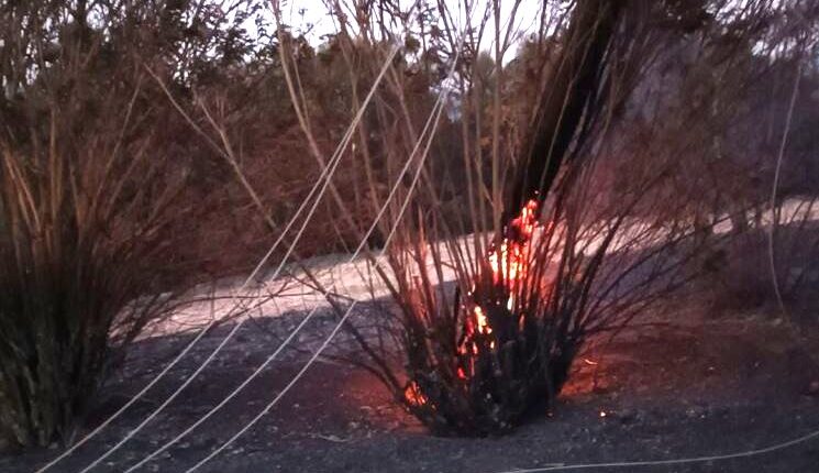 Παροχή-ανθρωπιστικής-βοήθειας-στους-πυρόπληκτους-από-την-Ιερά-Μητρόπολη-Νικοπόλεως-και-Πρεβέζης