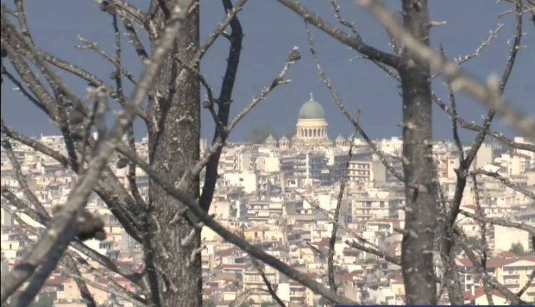 ΚΚΕ:-Φτηνός-αντιπερισπασμός-και-ομολογία-ενοχής-η-επίθεση-της-κυβέρνησης-στον-Πελετίδη