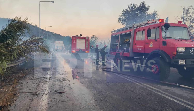 Φωτιά-τώρα-στην-Αχαΐα-–-Αναζωπύρωση-κινητοποιεί-ξανά-τις-αρχές-—-«112»-για-εκκένωση-Μπάλα-και-Δραγώλενας