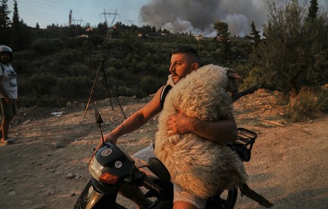 Ολσιέν-Μουτσομπέγκα:-«Είμαι-τρελάκιας-με-τα-ζώα»-–-Ο-33χρονος-Αλβανός-που-έγινε-viral-με-το-πρόβατο-πάνω-στη-μηχανή