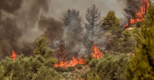 Φωτιά-τώρα-στην-περιοχή-Λιβάρτζι-Αχαΐας