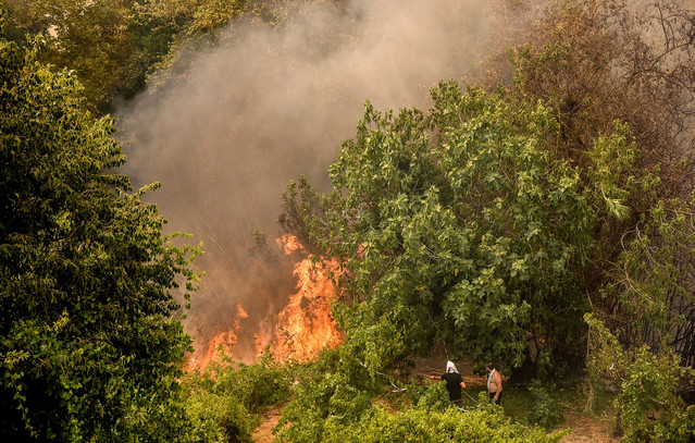 Φωτιά-στο-Μαλαπάσι-Πύργου-–-Κοντά-σε-σπίτια-οι-φλόγες,-ήχησε-το-112