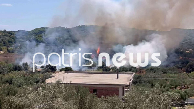 Οριοθετήθηκε-πλήρως-η-φωτιά-στον-Ελαιώνα-Πύργου-–-Η-έγκαιρη-επέμβαση-της-Πυροσβεστικής-έσωσε-σπίτια-από-τις-φλόγες
