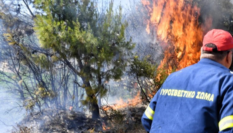 Φωτιά-τώρα-στην-περιοχή-Λιβάρτζι-Αχαΐας-–-Μήνυμα-από-το-112,-ενισχύθηκαν-οι-δυνάμεις-της-Πυροσβεστικής