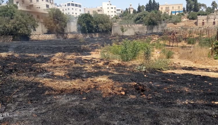 Εμπρησμός-σε-αγροτική-έκταση-της-Ρωσικής-Αποστολής-στη-Χεβρώνα