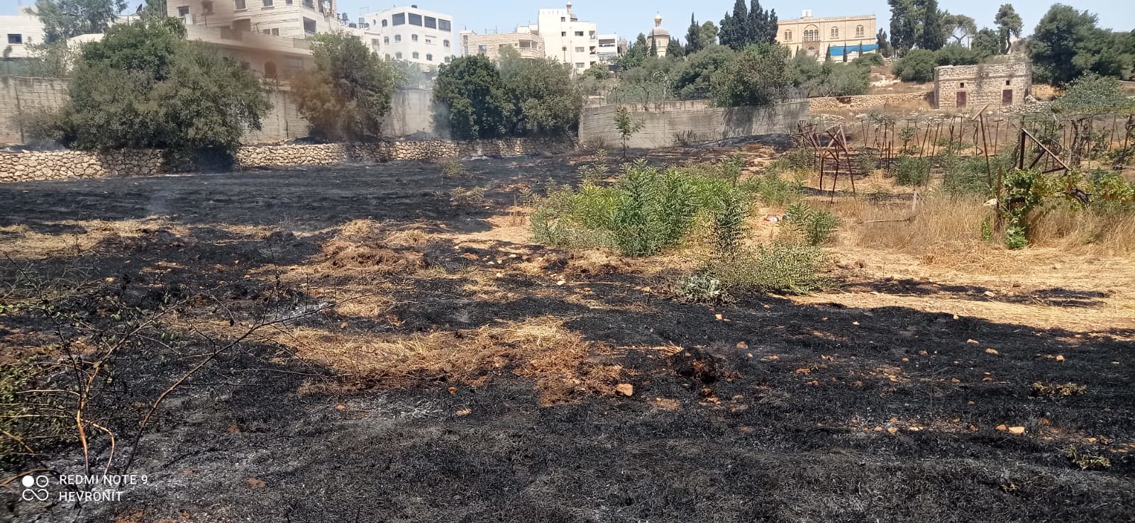 Εμπρησμός-σε-αγροτική-έκταση-της-Ρωσικής-Αποστολής-στη-Χεβρώνα